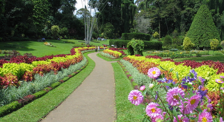 Tour por Lugares de Interés de Kandy desde Kandy
