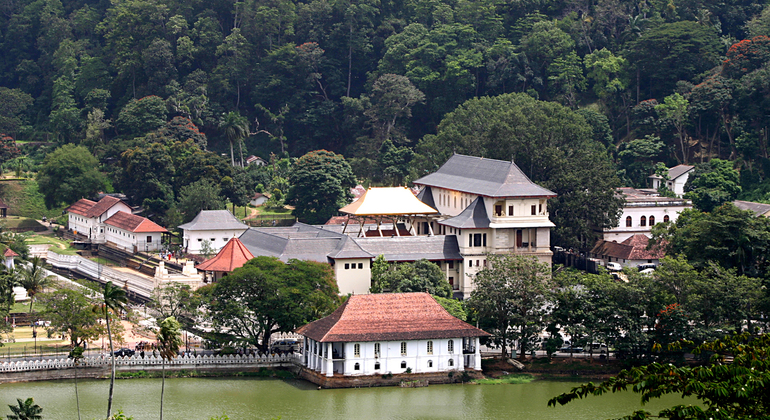 Tour por Lugares de Interés de Kandy desde Kandy