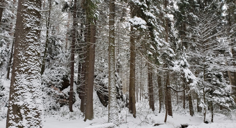 Adršpach : Les Chroniques de Narnia - Visite des lieux de tournage