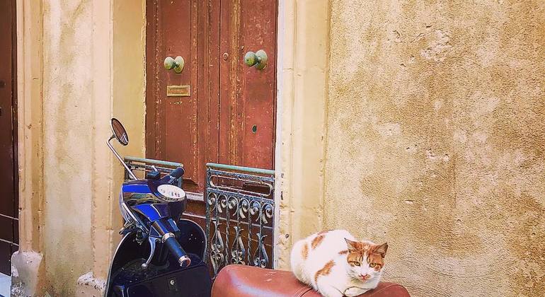 Mdina, Tales of the Silent City