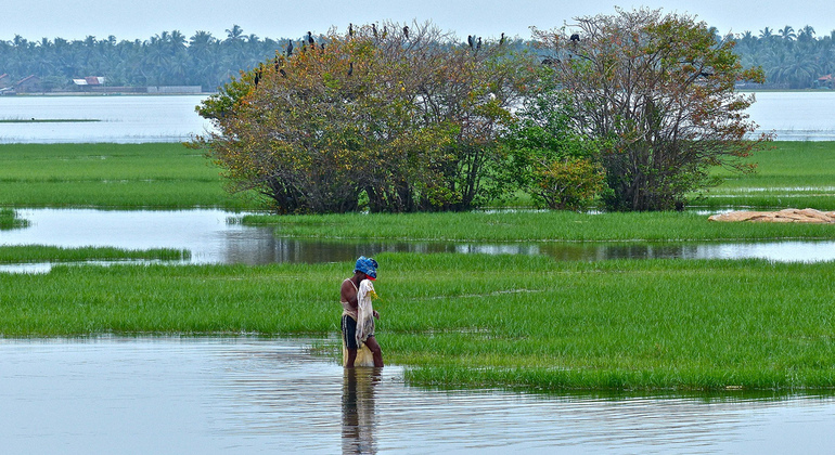 Safari en barco por la laguna de manglares de Arugam Bay