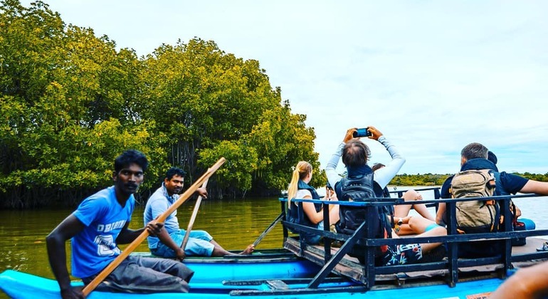 Safari en barco por la laguna de manglares de Arugam Bay