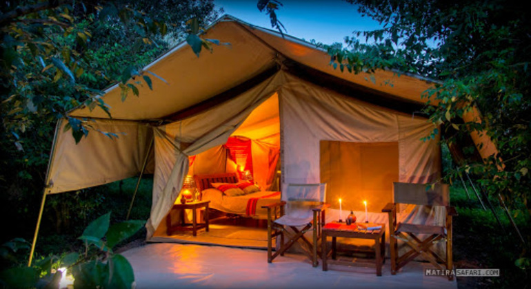 Noche de Campamento y Surf en Elephant Rock