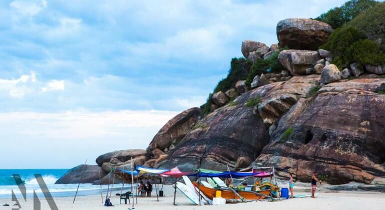 Noche de Campamento y Surf en Elephant Rock