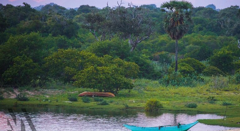 Noche de Campamento y Surf en Elephant Rock