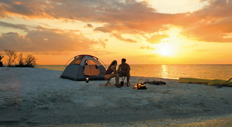 Noche de Campamento y Surf en Elephant Rock