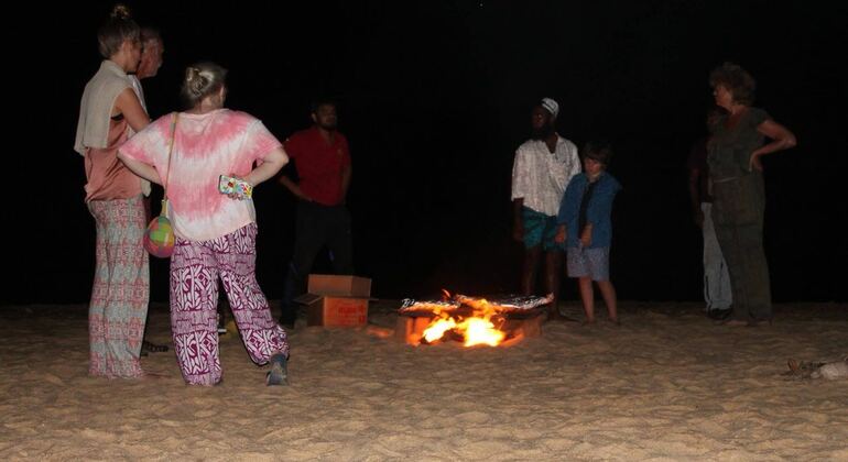 Noche de Campamento y Surf en Elephant Rock