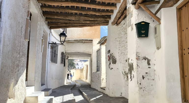 White Villages of Granada Private Day Trip