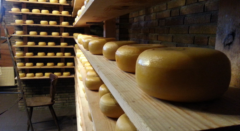 Excursion To The Mills Of Zaanse Schans