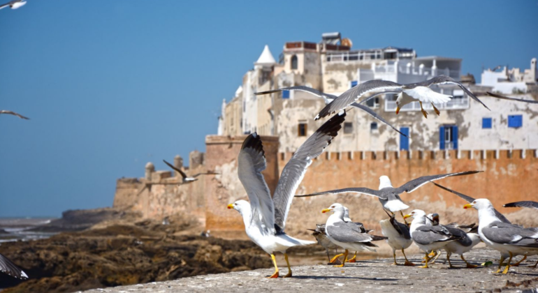 Group Day Tour to Essaouira - Mogador