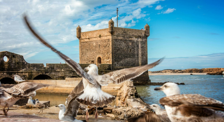 Group Day Tour to Essaouira - Mogador