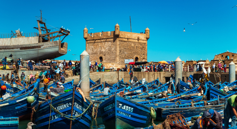 Group Day Tour to Essaouira - Mogador