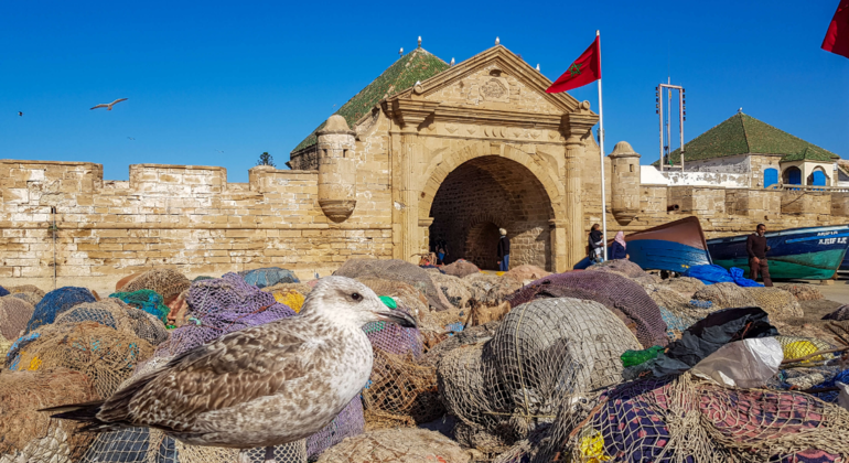 Group Day Tour to Essaouira - Mogador