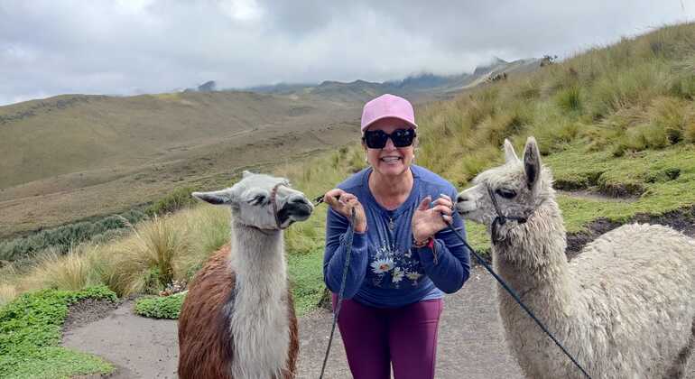 Private Tour durch Quito: Quito aus der Vogelperspektive