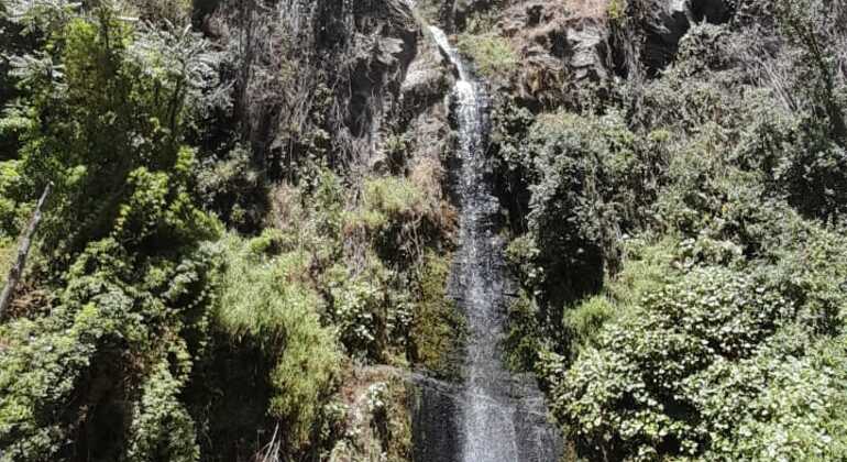 Private Tour ab Quito: Kana-Yaku-Trekking & Wasserfall-Abenteuer