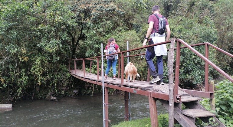 Private Tour ab Quito: Kana-Yaku-Trekking & Wasserfall-Abenteuer