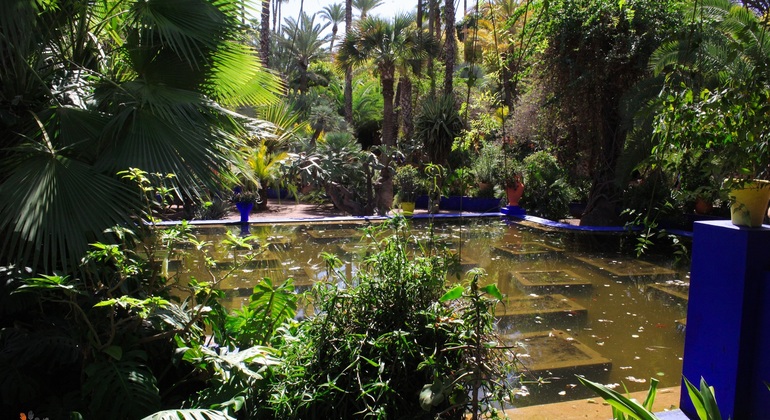 Marrakech Gardens Private Tour