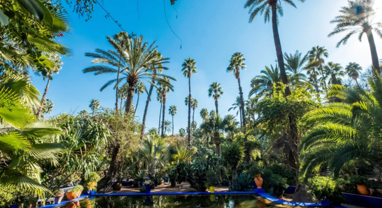 Marrakech Gardens Private Tour