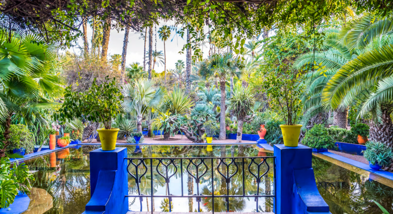 Marrakech Gardens Private Tour