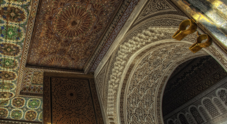 Marrakech Gardens Private Tour