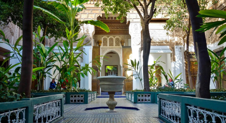 Marrakech Gardens Private Tour