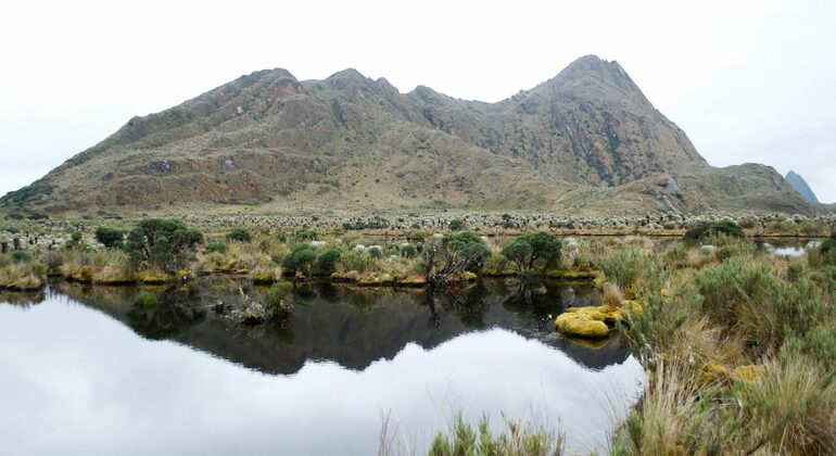 Excursión a los páramos de Sumapaz en Bogotá