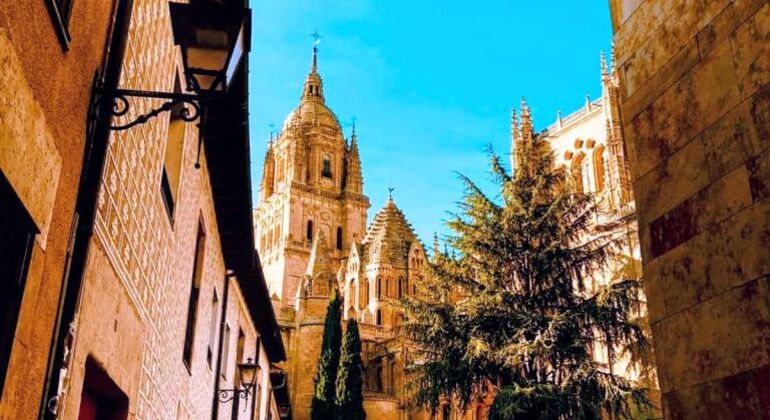 Private Tour durch Salamanca