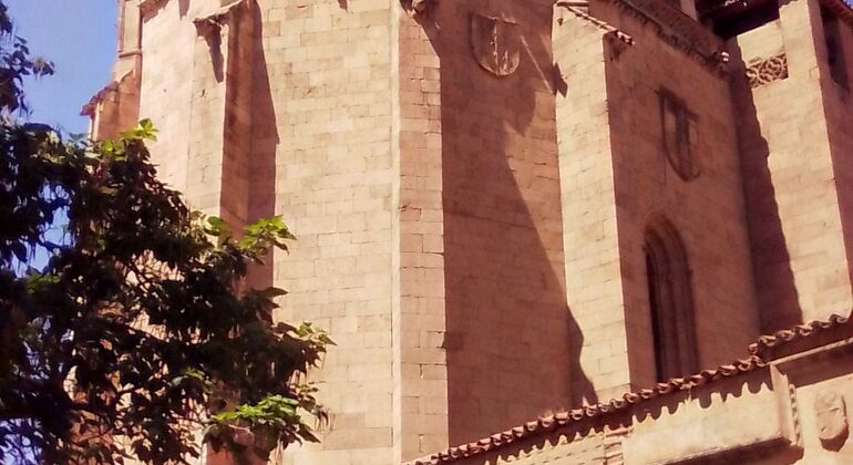 Private Tour durch Salamanca
