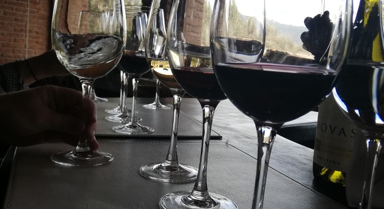 Casablanca Wein Tour