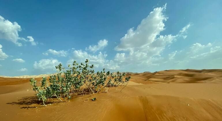 Desert Safari on Red Dunes