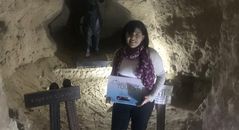 Tour a las Principales Atracciones de Alejandría