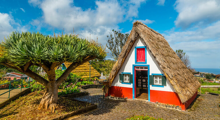 Madeira - O Melhor do Oriente