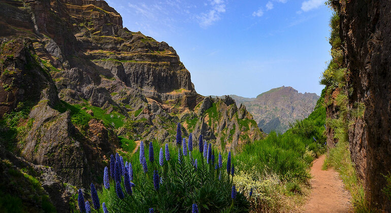 Madeira Peaks Walking Tour