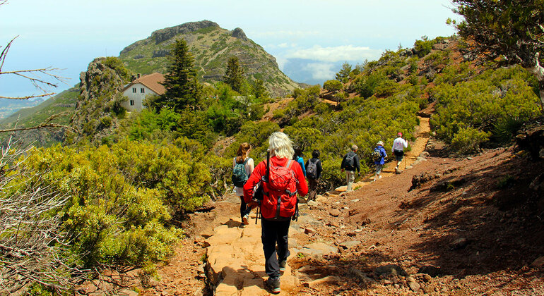 Madeira Peaks Walking Tour