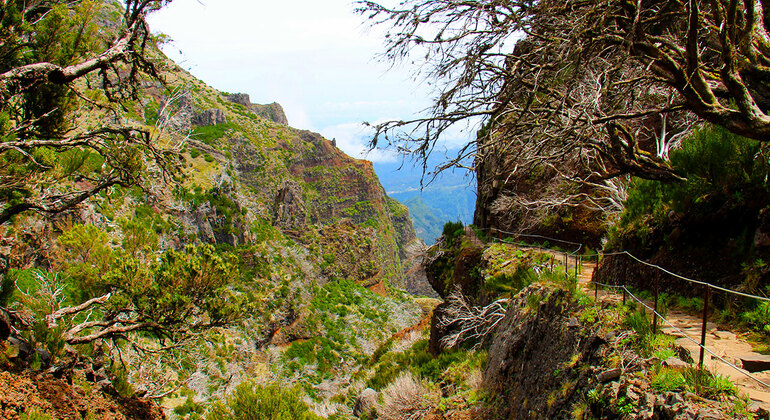 Madeira Peaks Walking Tour