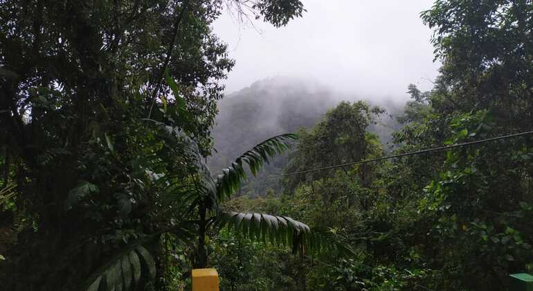 Mindo - Biosphärenreservat des Chocó Andino