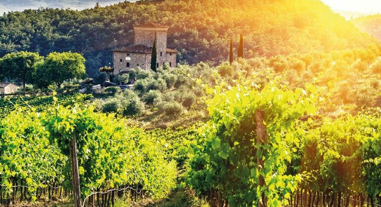 Chianti Half Day Wine Tour Florence