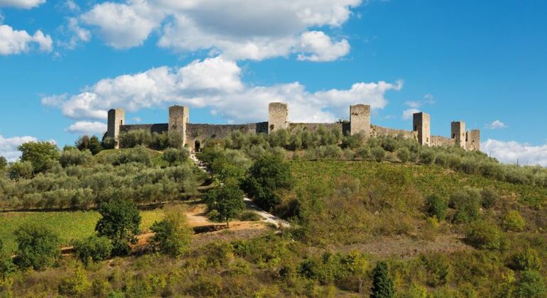 Chianti Half Day Wine Tour Florence