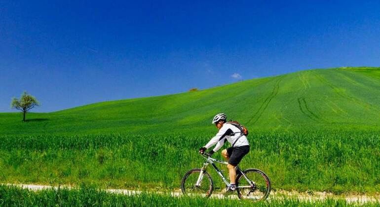 Chianti E-Bike Tour from Florence