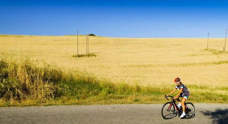 Chianti E-Bike Tour from Florence