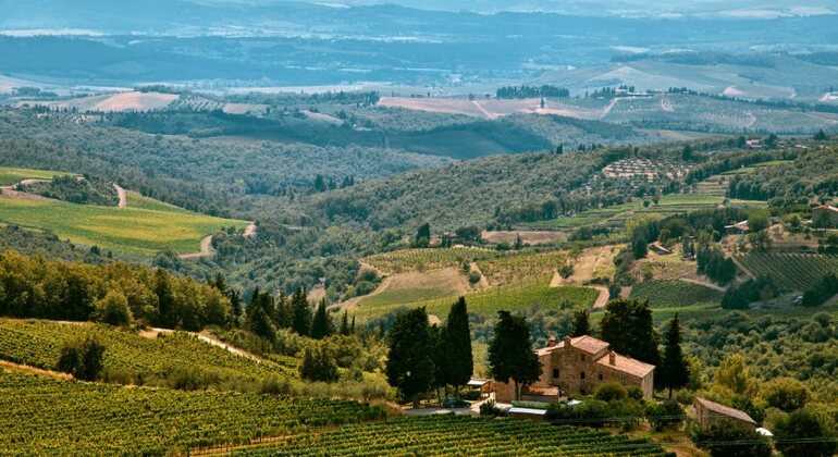 Chianti E-Bike Tour from Florence