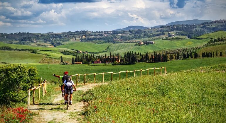 Chianti E-Bike Tour from Florence