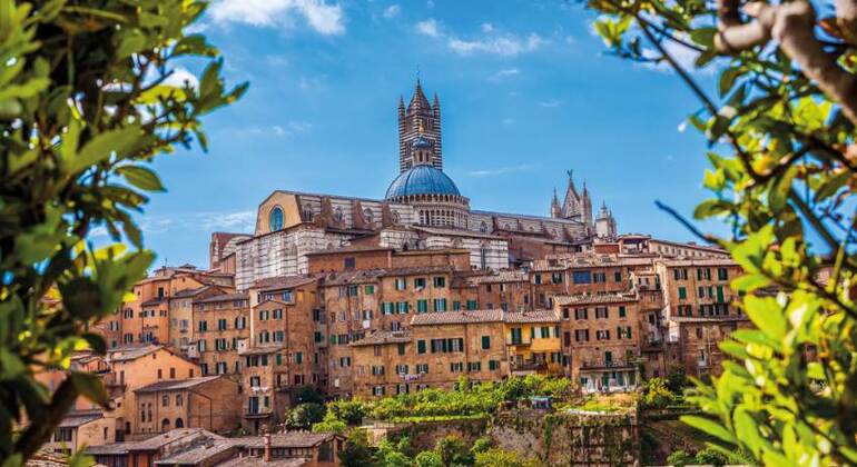 Tour of Tuscany in a Day