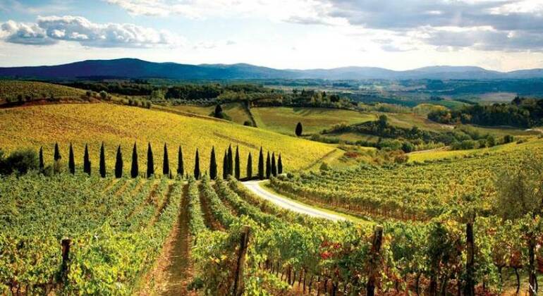 Tour della Toscana in un giorno