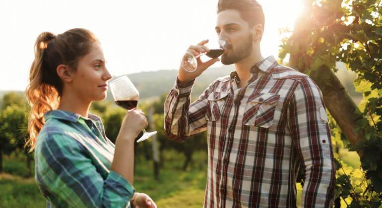 Tour della Toscana in un giorno