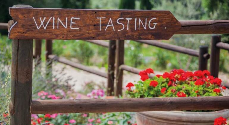 Tour della Toscana in un giorno