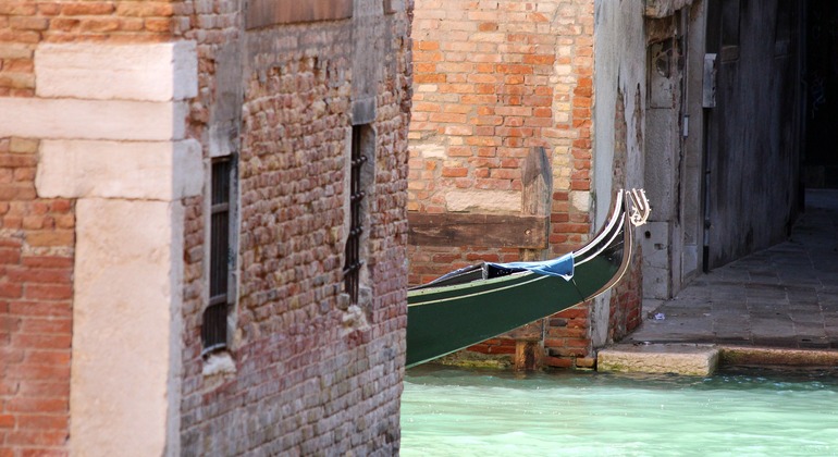 Venecia Tour a pie y góndola