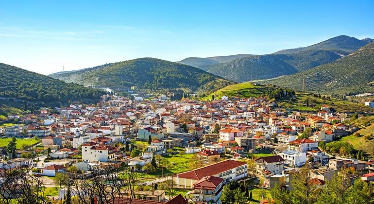 Ganztägige Tour nach Delphi, Arachova und Distomo