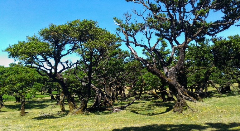 NorthWest Landscapes, UNESCO & Volcanic Pools 4x4 Experience