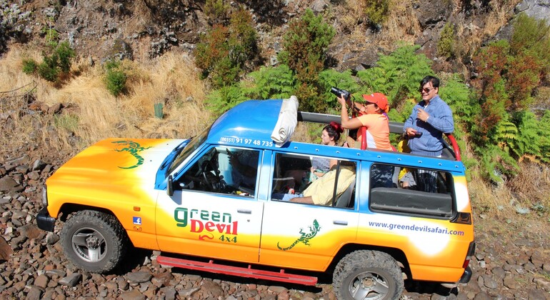 Madeira Island Tour: Scents & Flavours